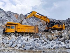 集中打击多种违法行为